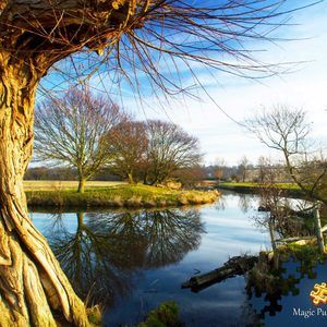 Meet your Posher, Mary